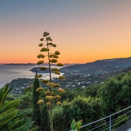 Vistazur Luxueux Appartement Avec Terrasse Et Piscine Le Le Rayol-Canadel-sur-Mer Ngoại thất bức ảnh